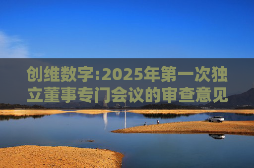 创维数字:2025年第一次独立董事专门会议的审查意见