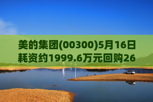 美的集团(00300)5月16日耗资约1999.6万元回购26.21万股A股  第1张