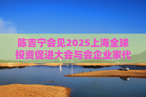 陈吉宁会见2025上海全球投资促进大会与会企业家代表