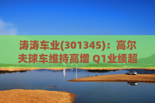 涛涛车业(301345)：高尔夫球车维持高增 Q1业绩超预期  第1张