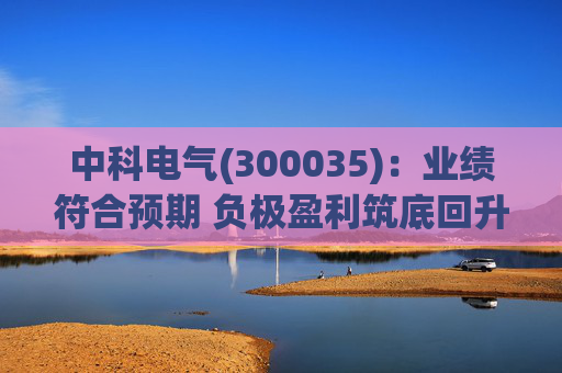 中科电气(300035):业绩符合预期 负极盈利筑底回升