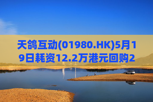 天鸽互动(01980.HK)5月19日耗资12.2万港元回购20万股