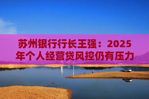苏州银行行长王强：2025年个人经营贷风控仍有压力，但不会造成冲击  第1张