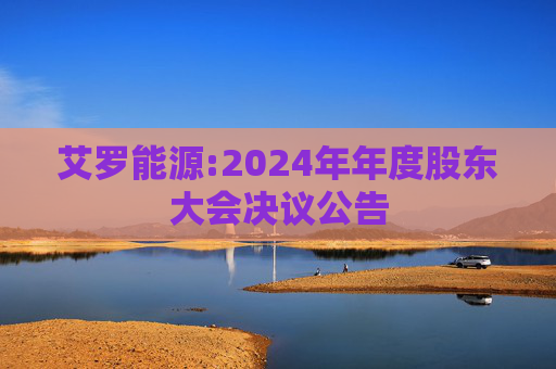 艾罗能源:2024年年度股东大会决议公告  第1张