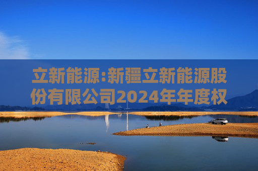 立新能源:新疆立新能源股份有限公司2024年年度权益分派实施公告  第1张