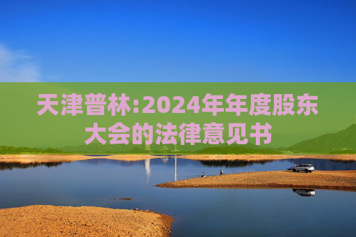 天津普林:2024年年度股东大会的法律意见书