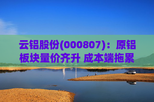 云铝股份(000807)：原铝板块量价齐升 成本端拖累Q4业绩