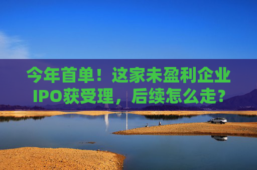今年首单!这家未盈利企业IPO获受理,后续怎么走?