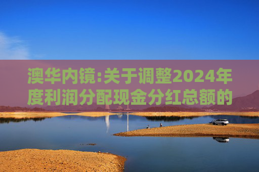 澳华内镜:关于调整2024年度利润分配现金分红总额的公告