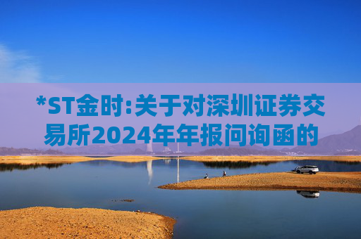 *ST金时:关于对深圳证券交易所2024年年报问询函的回复