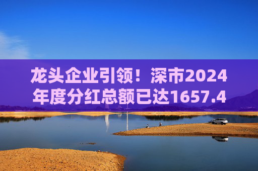 龙头企业引领！深市2024年度分红总额已达1657.47亿元  第1张