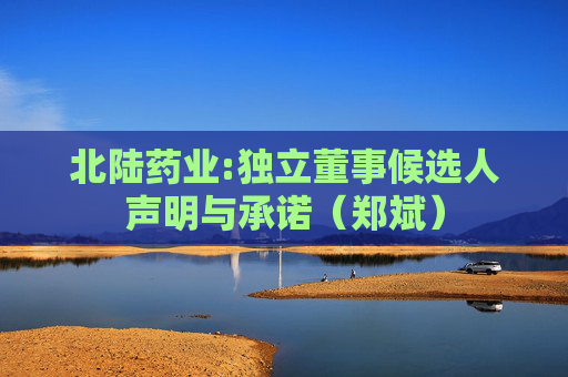北陆药业:独立董事候选人声明与承诺（郑斌）