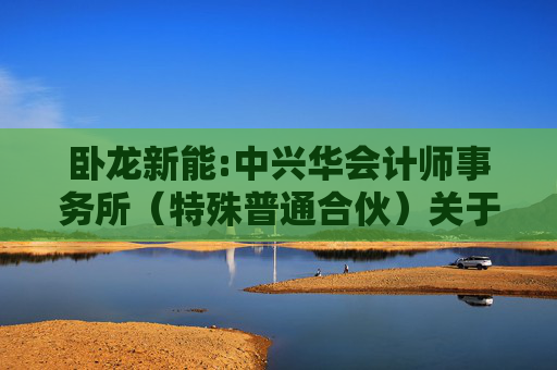 卧龙新能:中兴华会计师事务所（特殊普通合伙）关于不存在《上市公司监管指引第7号――上市公司重大资产重组相关股票异常交易监管》第十二条不得参与任何上市公司重大资产重组情形的说明
