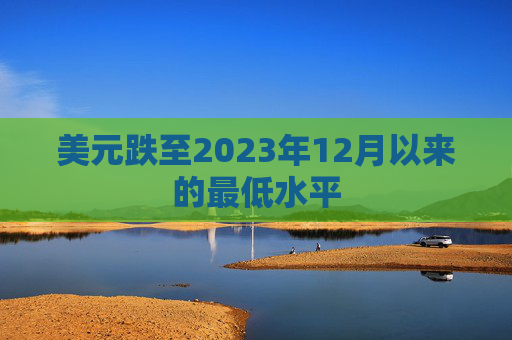 美元跌至2023年12月以来的最低水平  第1张