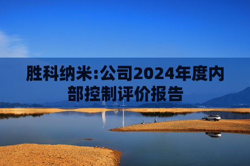 胜科纳米:公司2024年度内部控制评价报告  第1张