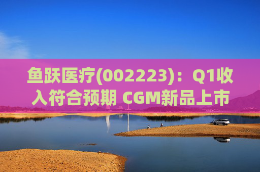 鱼跃医疗(002223)：Q1收入符合预期 CGM新品上市丰富增长动能  第1张