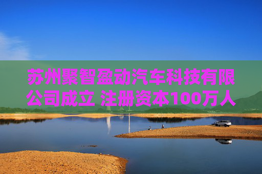 苏州聚智盈动汽车科技有限公司成立 注册资本100万人民币  第1张