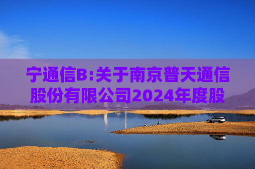 宁通信B:关于南京普天通信股份有限公司2024年度股东大会的法律意见书