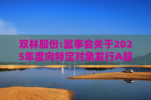 双林股份:监事会关于2025年度向特定对象发行A股股票的书面审核意见