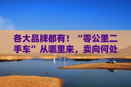 各大品牌都有!“零公里二手车”从哪里来,卖向何处,影响有多大?