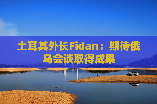 土耳其外长Fidan：期待俄乌会谈取得成果