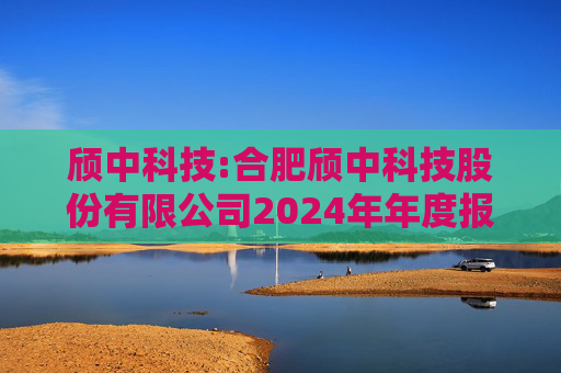 颀中科技:合肥颀中科技股份有限公司2024年年度报告