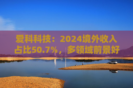 爱科科技：2024境外收入占比50.7%，多领域前景好  第1张