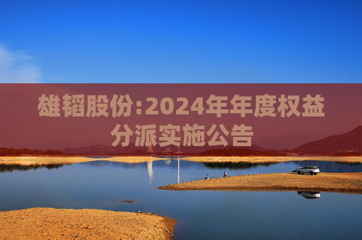 雄韬股份:2024年年度权益分派实施公告