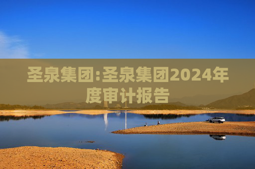圣泉集团:圣泉集团2024年度审计报告