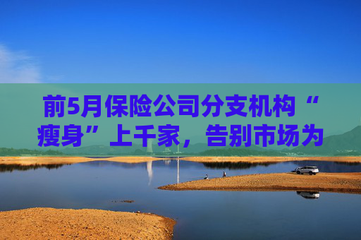 前5月保险公司分支机构“瘦身”上千家，告别市场为哪般