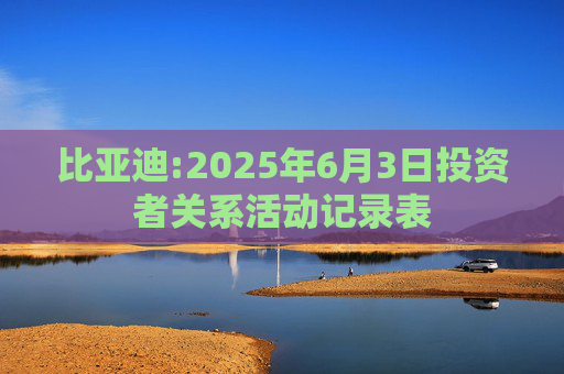 比亚迪:2025年6月3日投资者关系活动记录表  第1张