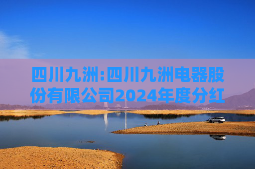 四川九洲:四川九洲电器股份有限公司2024年度分红派息实施公告  第1张