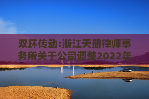双环传动:浙江天册律师事务所关于公司调整2022年股票期权激励计划行权价格的法律意见书  第1张