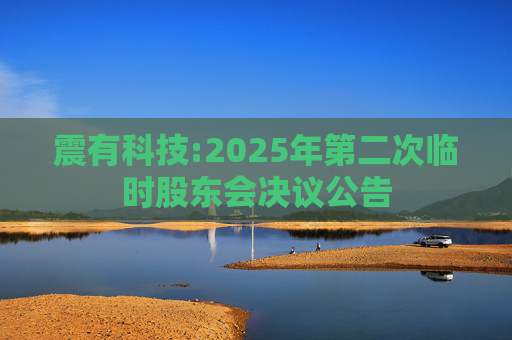 震有科技:2025年第二次临时股东会决议公告