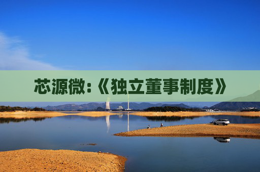 芯源微:《独立董事制度》