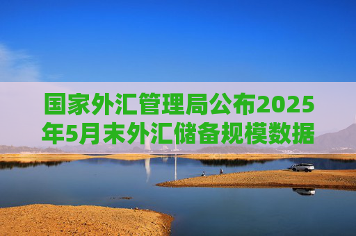 国家外汇管理局公布2025年5月末外汇储备规模数据  第1张
