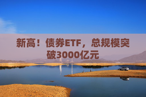 新高！债券ETF，总规模突破3000亿元  第1张