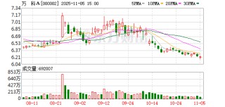 万科A11月5日大宗交易成交384.15万元