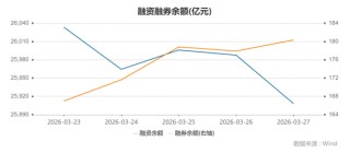 融资盘最新动向：重仓新能源龙头，做空大盘蓝筹【两融周报】