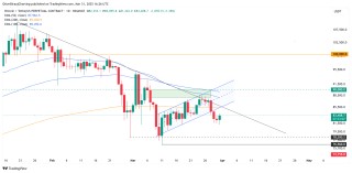 比特币鲸鱼的囤积趋势反映了2020年比特币价格从8.1万美元反弹后的看涨活动