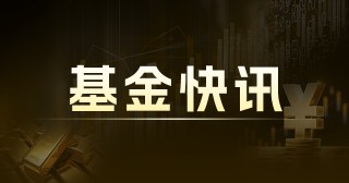 南方红利低波 50ETF 联接 A：净值与持仓 崔蕾掌舵