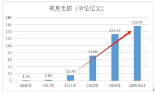 英科医疗玩转息差套利？逾200亿“躺账面”又再举债150亿