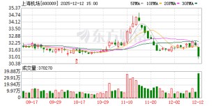 上海机场：2025年11月运输生产情况简报