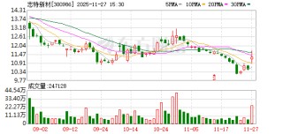 志特新材：无逾期担保的情形