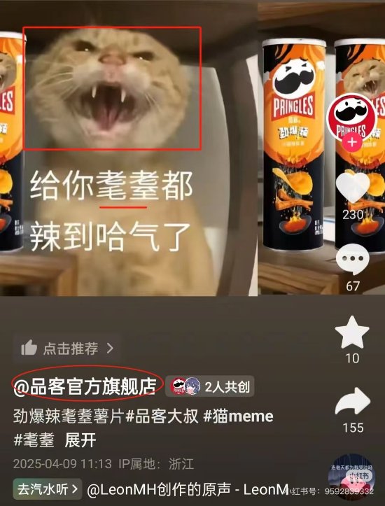 品客薯片视频被指玩虐猫梗，公司回应：不知这个梗，视频已删  第2张
