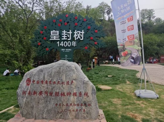 河南五一假期“樱桃经济”遍地开花  第3张