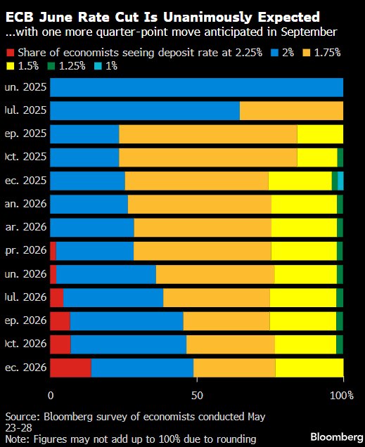 欧洲央行势将第八次降息 通胀形势恐使后续行动前景不明  第1张