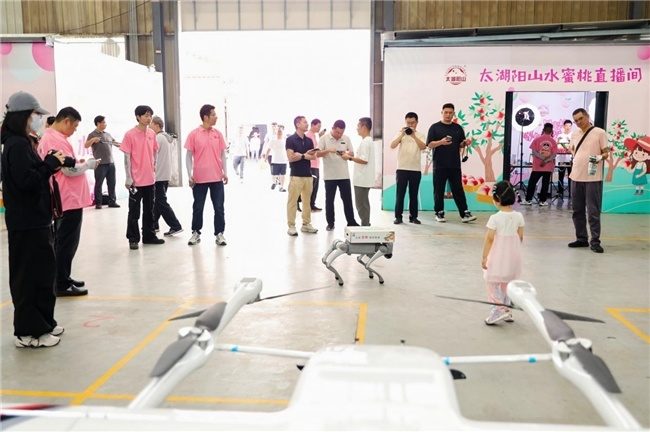 14年深耕！顺丰科技赋能，全链路升级助力阳山水蜜桃“甜蜜出圈”  第4张