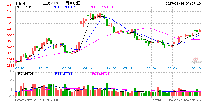 【生猪半年报】供给端持续施压 季节性反弹可期  第2张