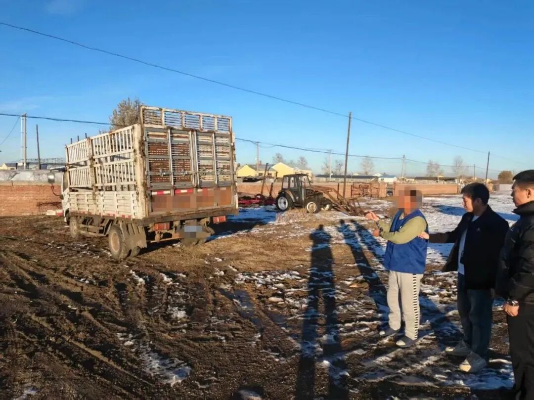 为给女主播“刷礼物”，男子偷了邻居家10头牛  第1张